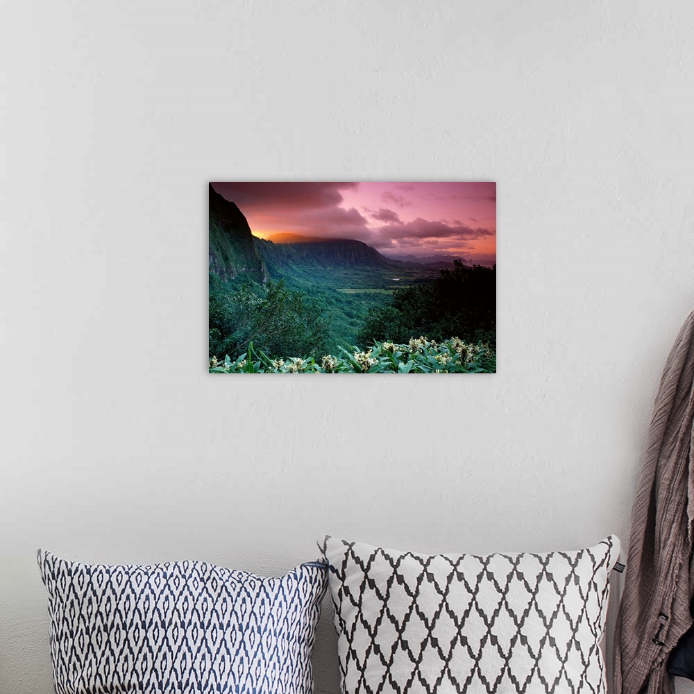 A bohemian room featuring Photograph of tropical forest with high plateaus and cliffs in the distance under a cloudy dark s...