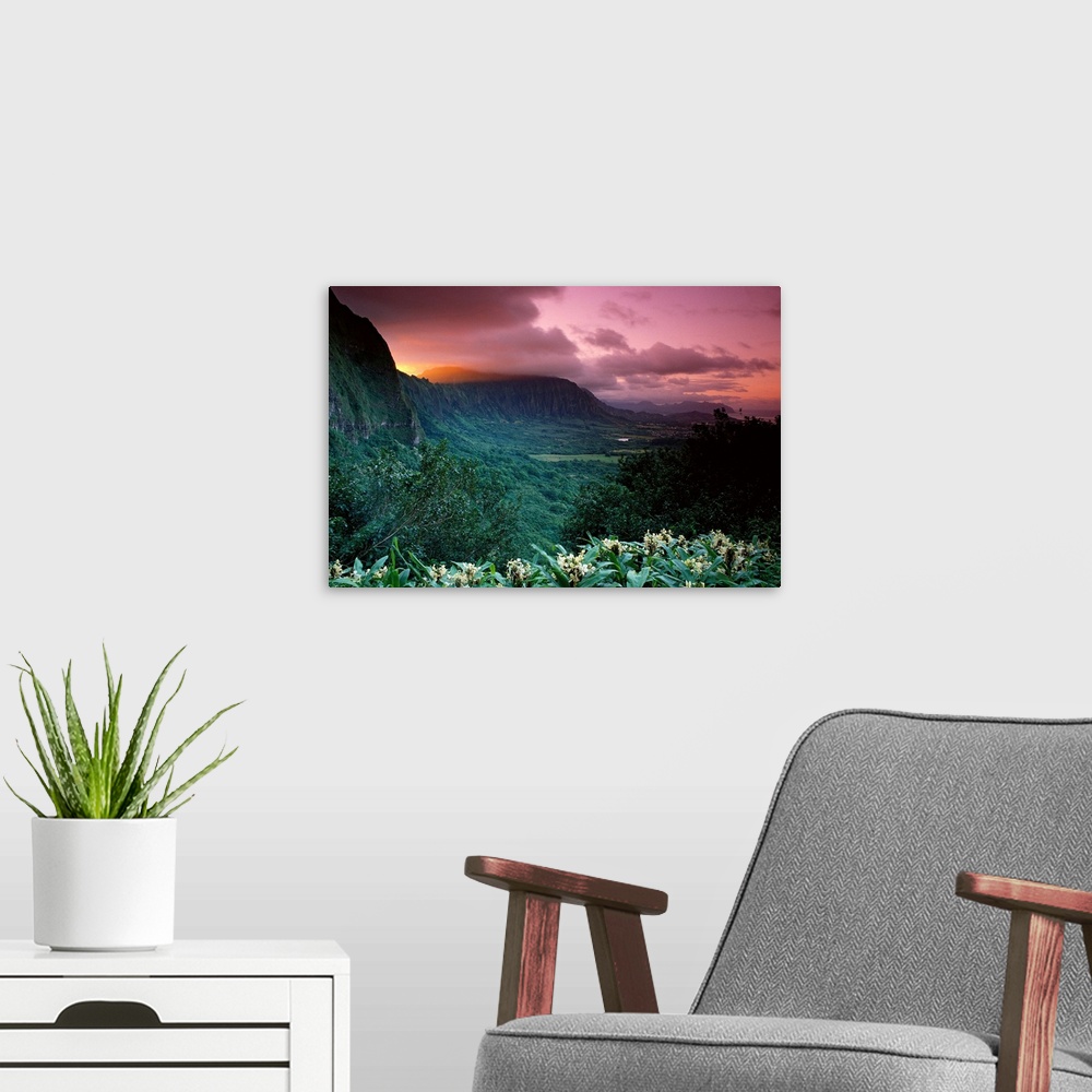 A modern room featuring Photograph of tropical forest with high plateaus and cliffs in the distance under a cloudy dark s...