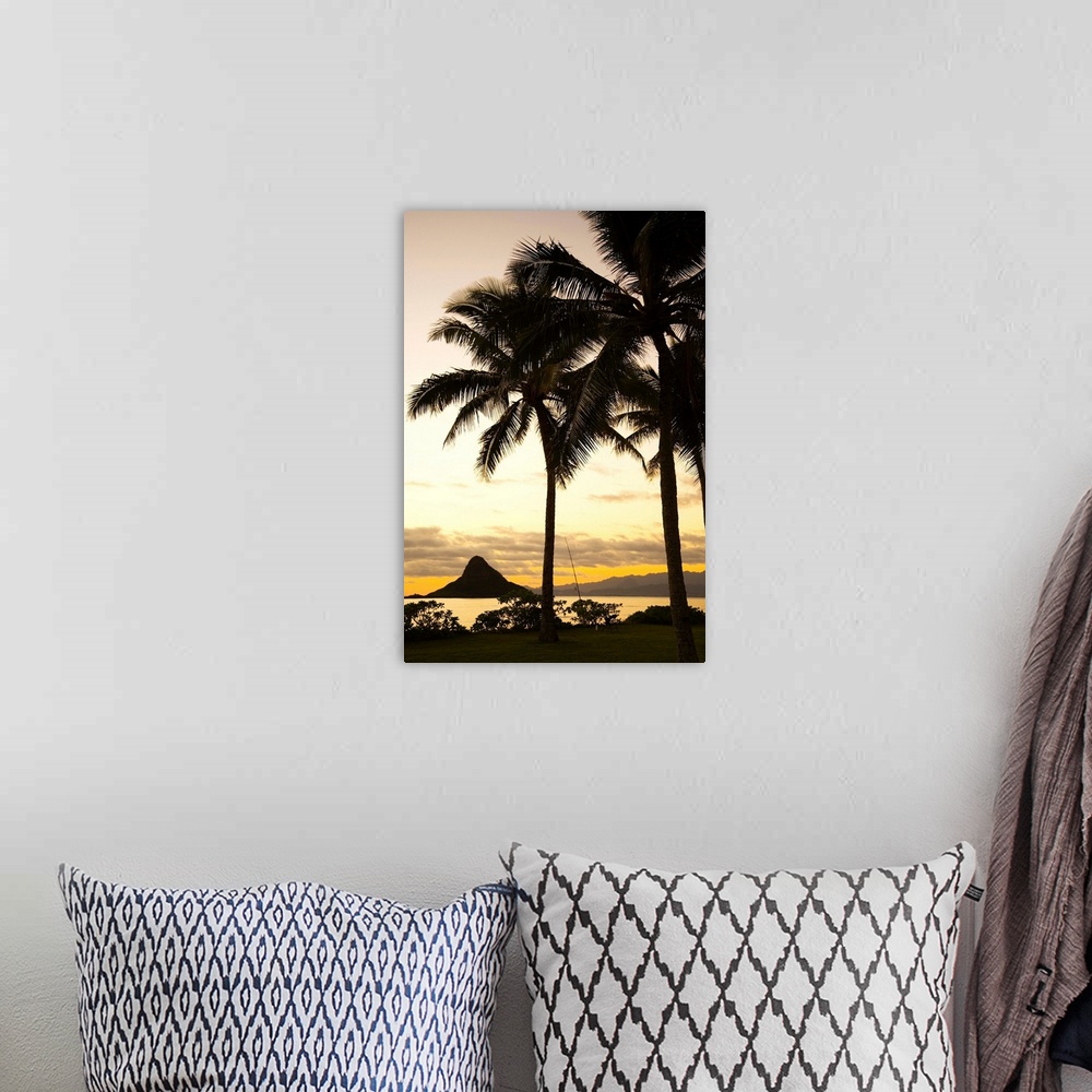 A bohemian room featuring Hawaii, Oahu, Silhouette Of Palm Tree And Chinaman's Hat