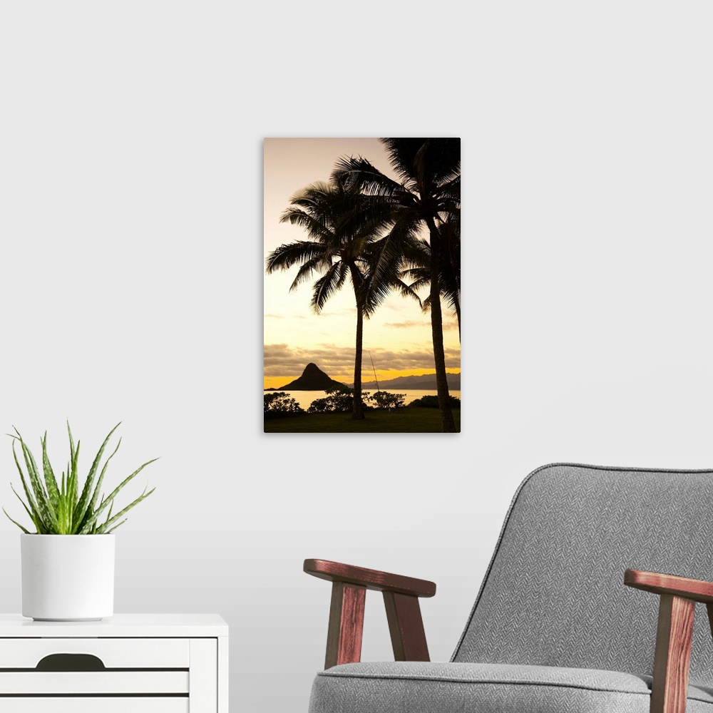 A modern room featuring Hawaii, Oahu, Silhouette Of Palm Tree And Chinaman's Hat