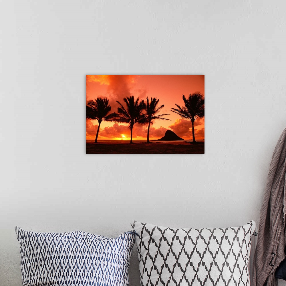 A bohemian room featuring Hawaii, Oahu, Sunrise At Chinaman's Hat, Palms Silhouetted