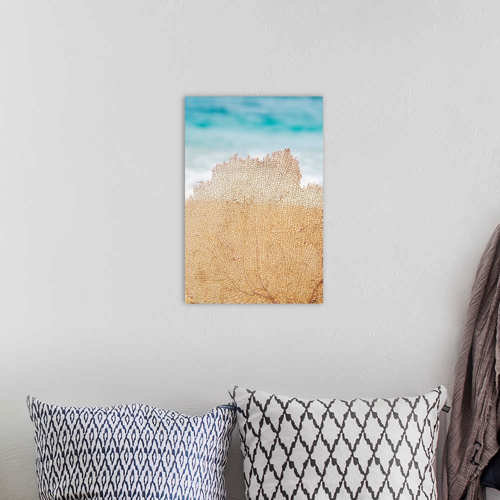 A bohemian room featuring Hawaii, Oahu, Turquoise Ocean With Beautiful Coral Element On The Sand