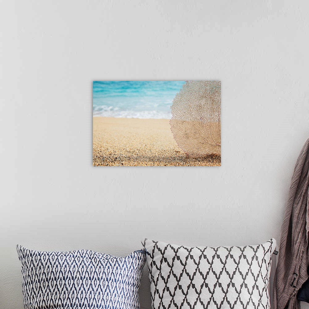A bohemian room featuring Artistic photograph of a lacey coral fan on a tropical beach, with water from the tide coming in ...