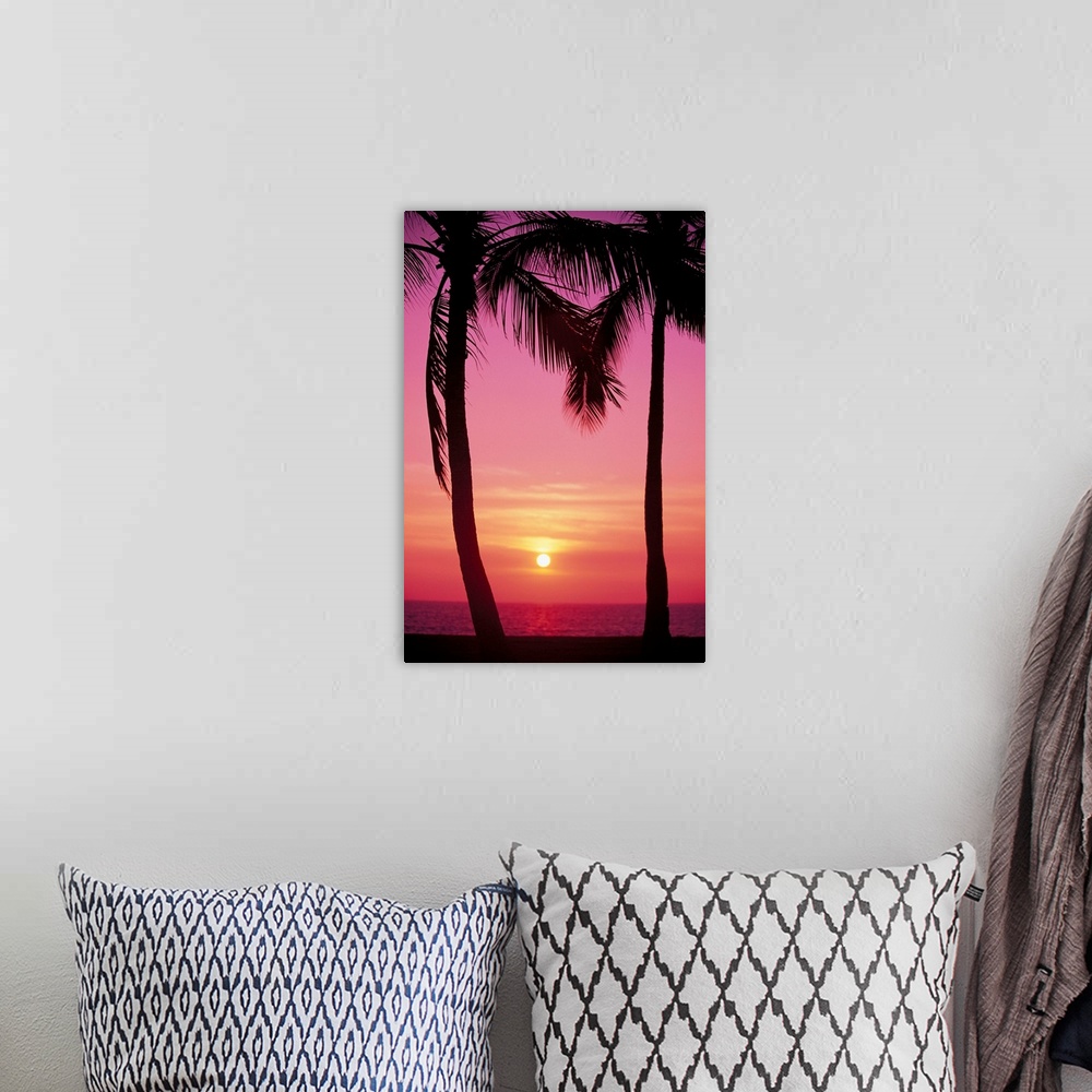 A bohemian room featuring Hawaii, Oahu, Waianae Coast, View Of Sunset Between Two Palm Trees