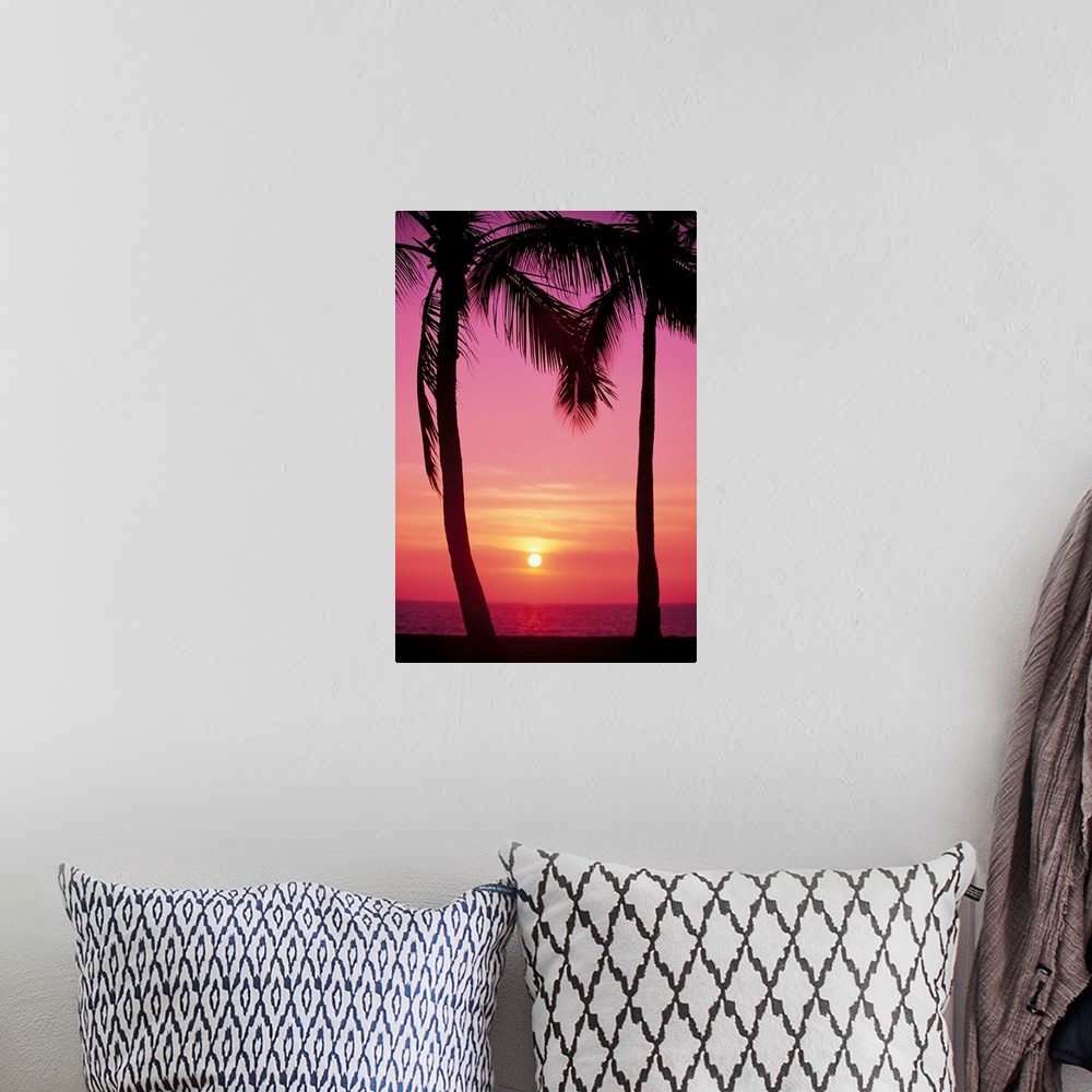 A bohemian room featuring Hawaii, Oahu, Waianae Coast, View Of Sunset Between Two Palm Trees