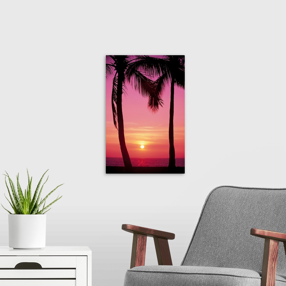 A modern room featuring Hawaii, Oahu, Waianae Coast, View Of Sunset Between Two Palm Trees