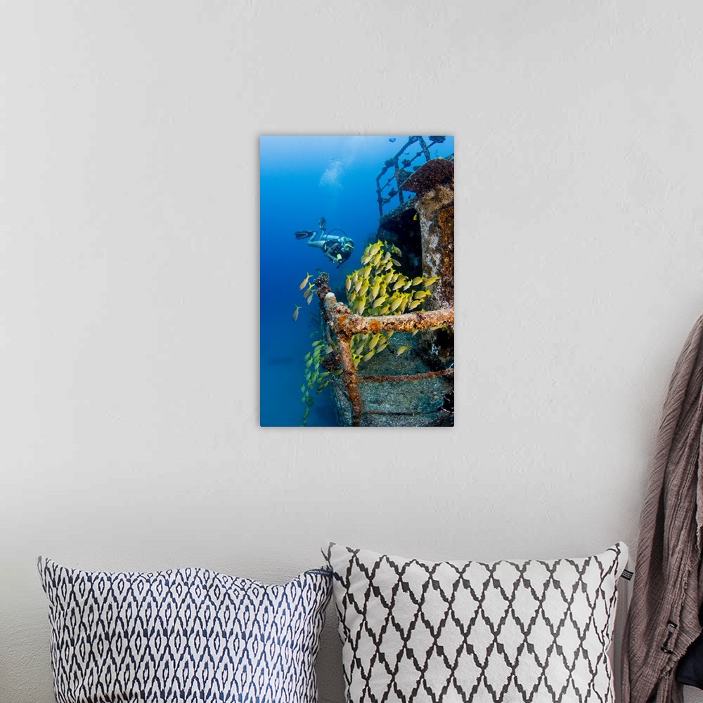 A bohemian room featuring Hawaii, Oahu, Waikiki, Diver Exploring Ship Wreck With Blue Striped Snapper Fish