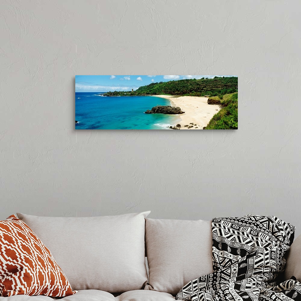 A bohemian room featuring Panoramic photograph of shoreline under cloudy sky.  The beach leads to a dense forest.