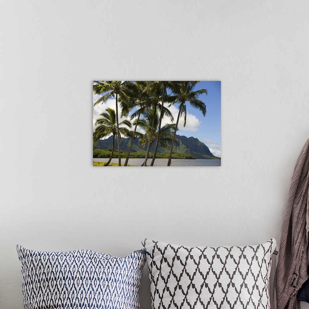 A bohemian room featuring Hawaii, Oahu, Windward, Waikane Beach Park, Kualoa In Background