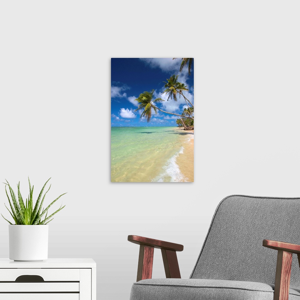 A modern room featuring Hawaii, Palm Trees Leaning Over Beach