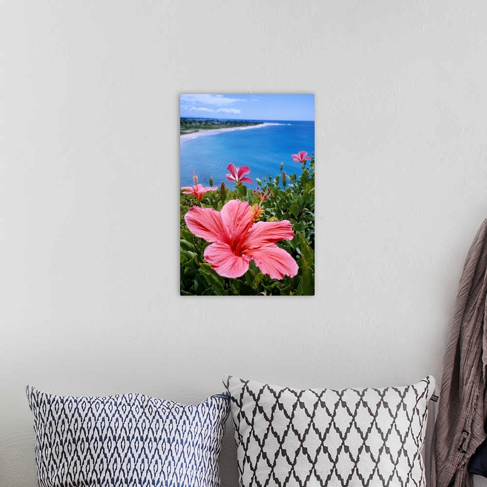 A bohemian room featuring Hawaii, Pink Hibiscus Overlooking Beach