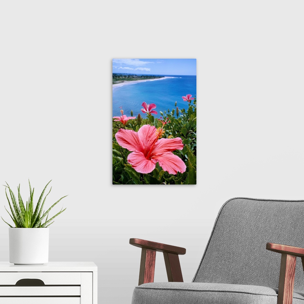 A modern room featuring Hawaii, Pink Hibiscus Overlooking Beach