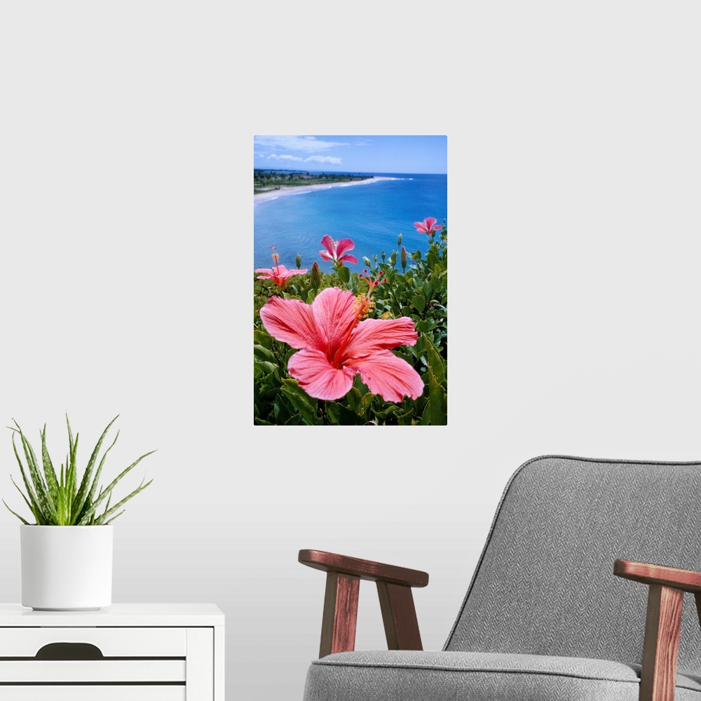 A modern room featuring Hawaii, Pink Hibiscus Overlooking Beach