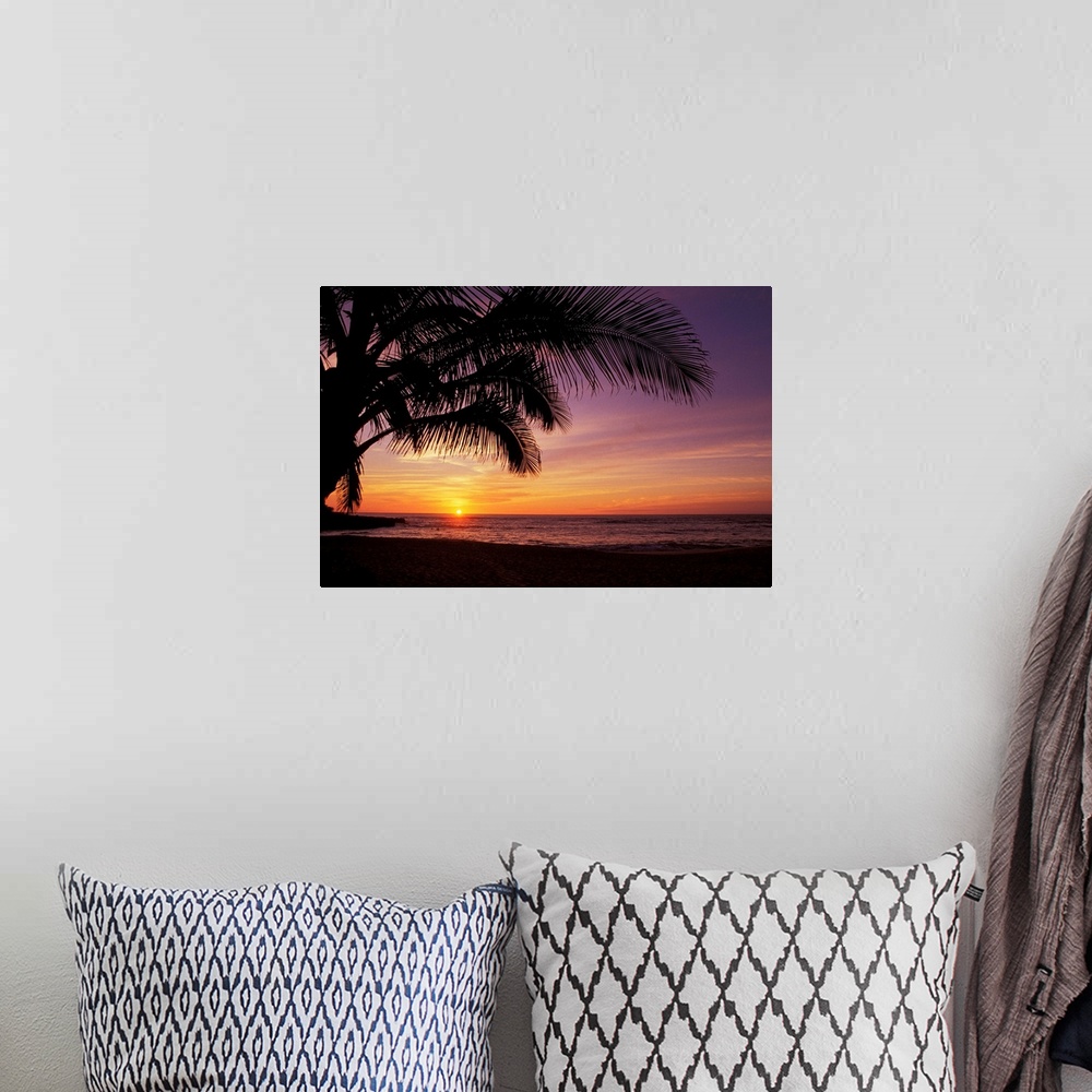 A bohemian room featuring Hawaii, Silhouette Of Palm Tree Near Ocean, Colorful Sunset