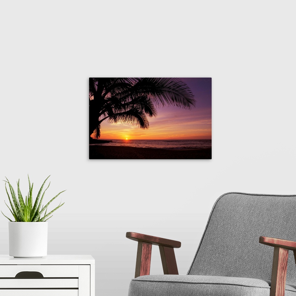 A modern room featuring Hawaii, Silhouette Of Palm Tree Near Ocean, Colorful Sunset