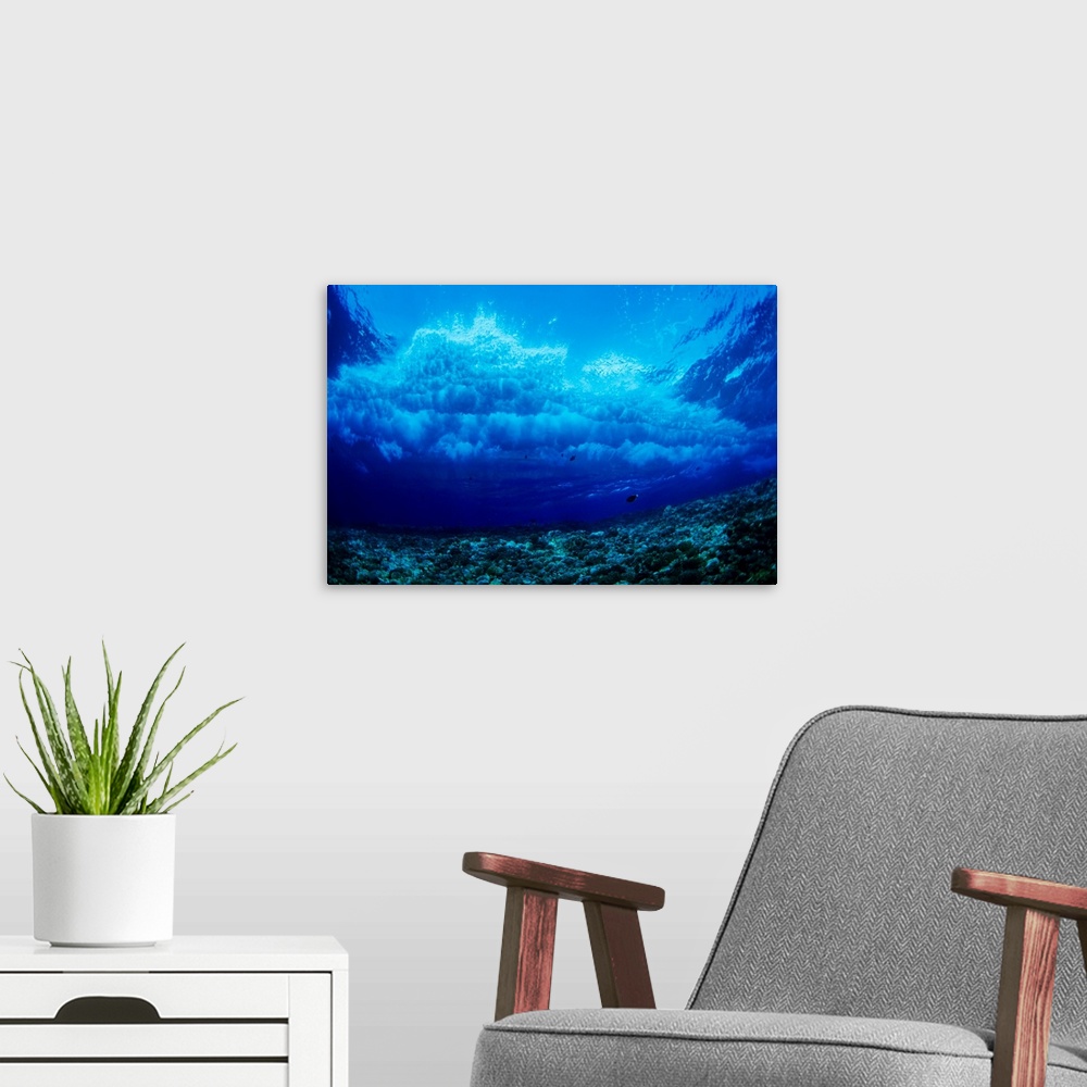 A modern room featuring Hawaii, Underwater View Of Wave Breaking Over Coral Reef