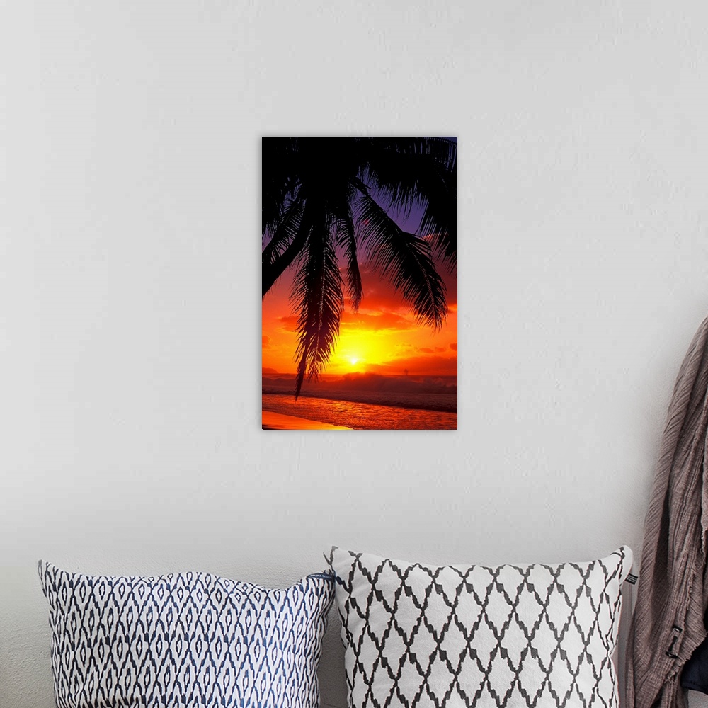 A bohemian room featuring Vertical, large photograph of the silhouette of a palm tree swaying over the shoreline in Hawaii,...