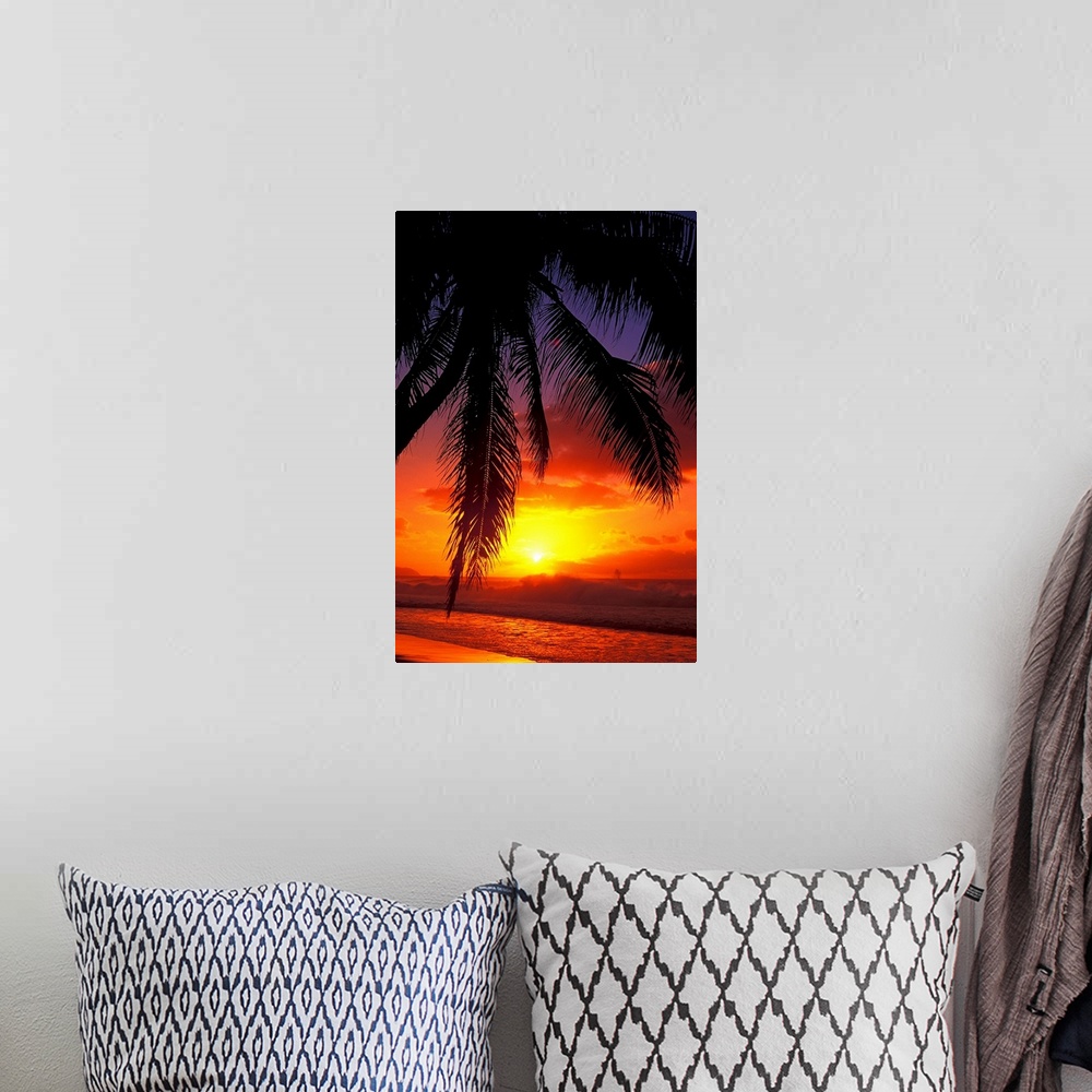 A bohemian room featuring Vertical, large photograph of the silhouette of a palm tree swaying over the shoreline in Hawaii,...