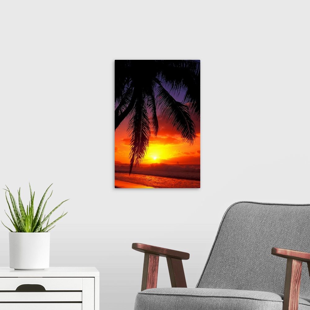 A modern room featuring Vertical, large photograph of the silhouette of a palm tree swaying over the shoreline in Hawaii,...