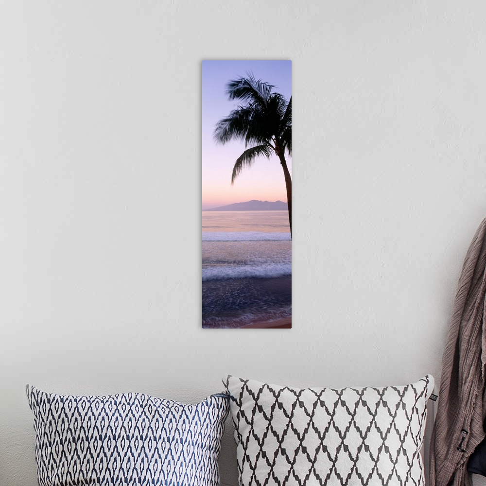 A bohemian room featuring Hawaii, West Maui Beach At Twilight, Palm Tree Along Shoreline