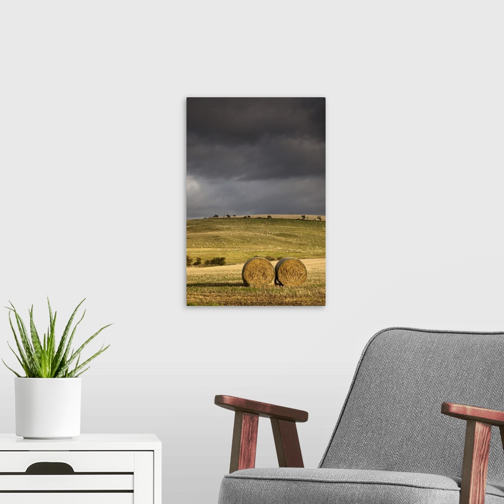 A modern room featuring Hay Bales In A Field Under A Dark Cloudy Sky; Northumberland, England