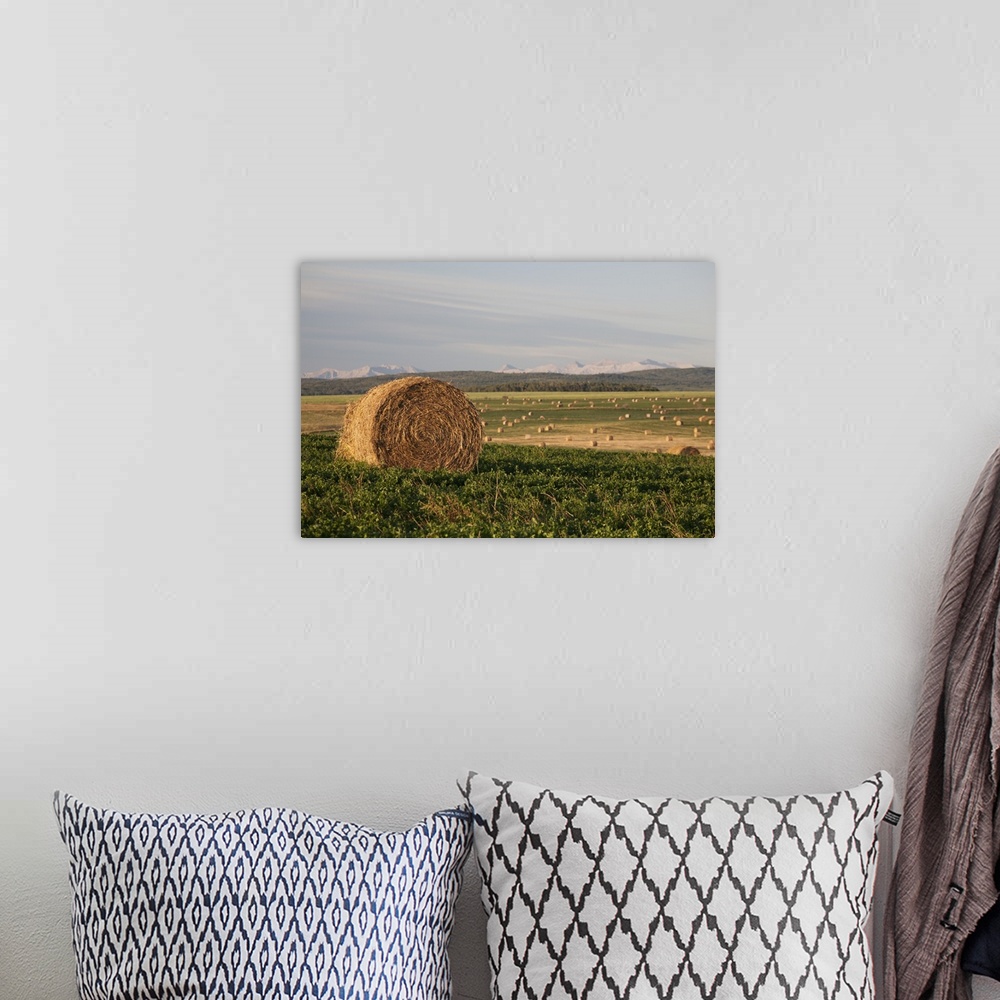 A bohemian room featuring Hay Bales In A Field With Mountains In The Background At Sunrise; Alberta, Canada