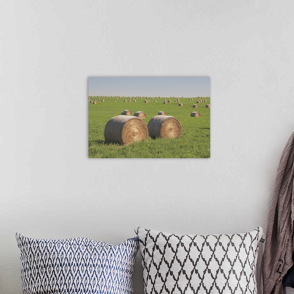 A bohemian room featuring Hay Bales In A Green Alfalfa Field