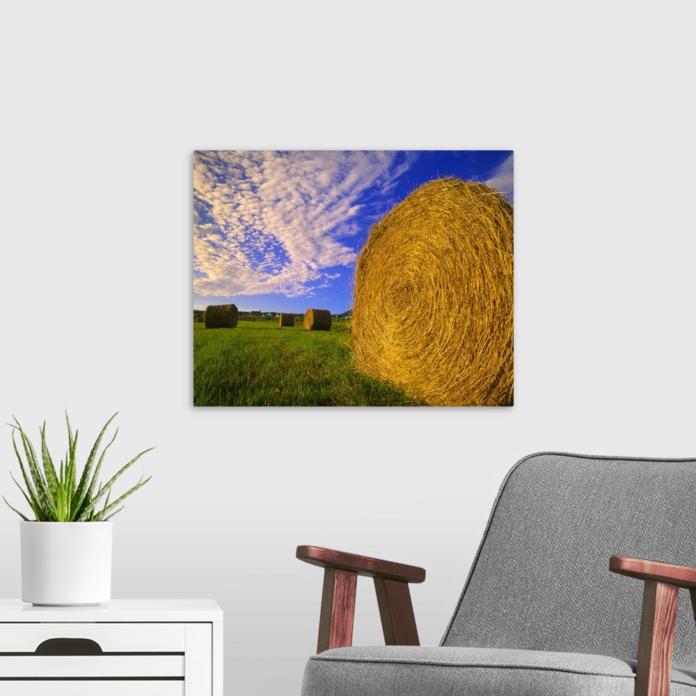 A modern room featuring Hay Bales In Field, Quebec, Canada