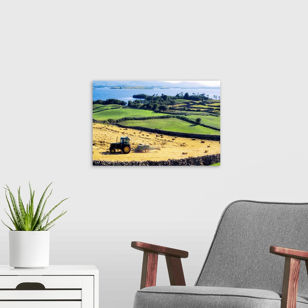 A modern room featuring Hay Making, Lough Corrib, Co Galway, Ireland
