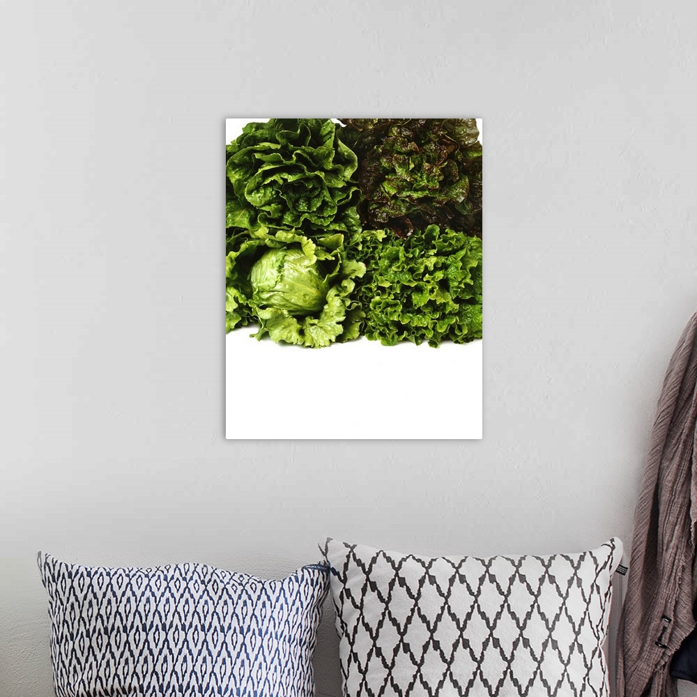 A bohemian room featuring Heads of Romaine, red leaf, Iceberg and green leaf lettuce bunched together