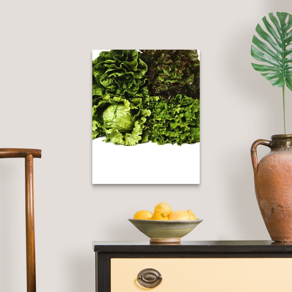 A traditional room featuring Heads of Romaine, red leaf, Iceberg and green leaf lettuce bunched together