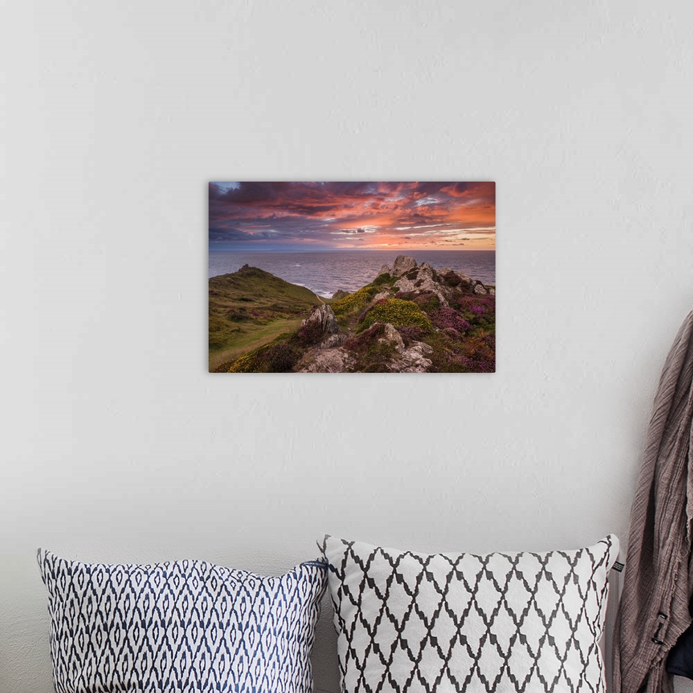 A bohemian room featuring Heather on Morte Point at sunset on the North Devon Heritage Coast.