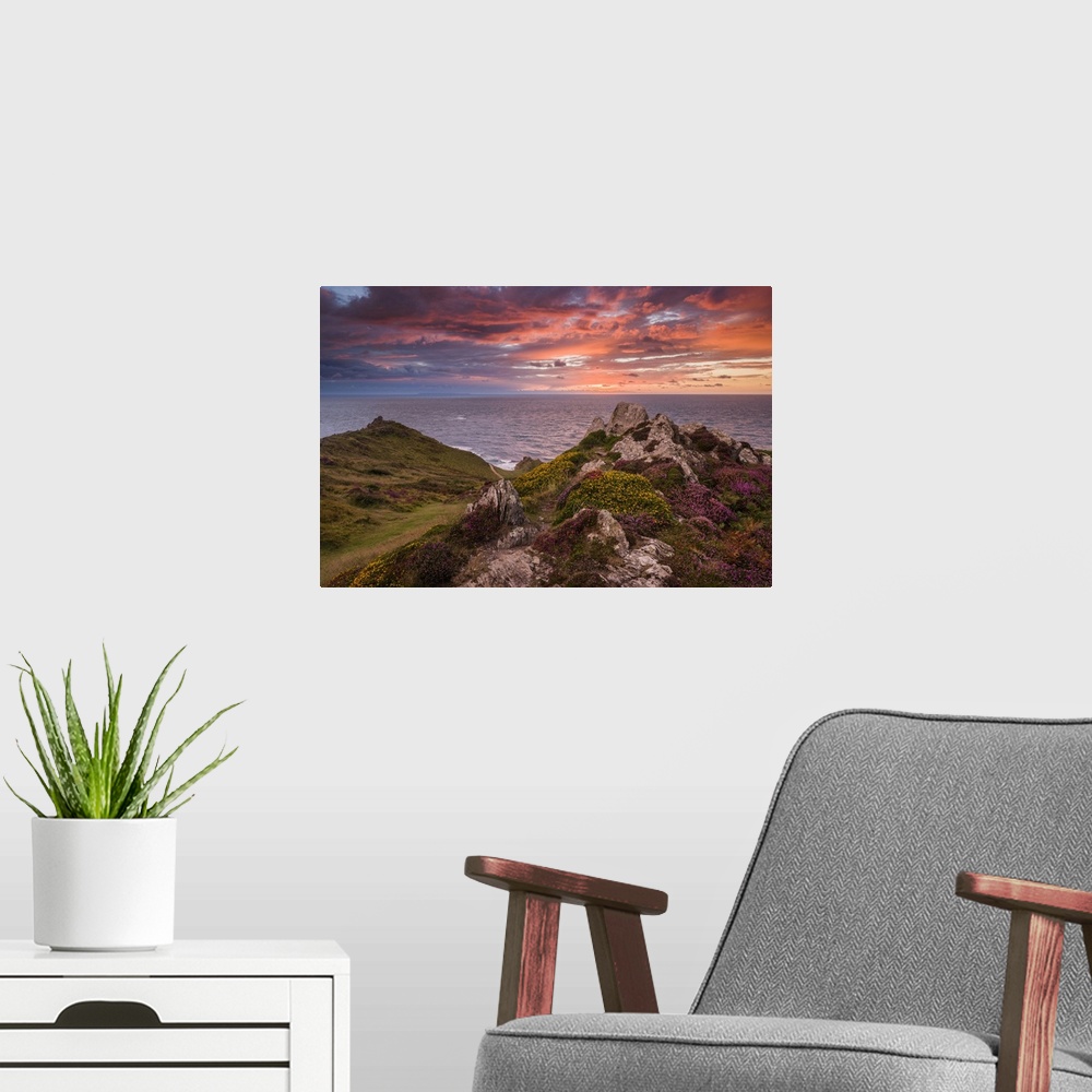 A modern room featuring Heather on Morte Point at sunset on the North Devon Heritage Coast.