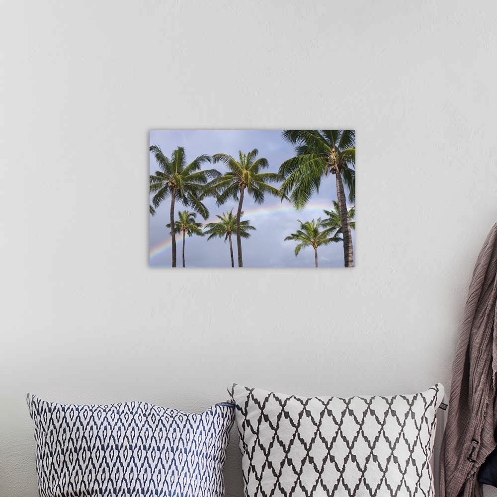 A bohemian room featuring Hi, Oahu, Rainbow And Coconut Palm Trees Over Pearl Harbor