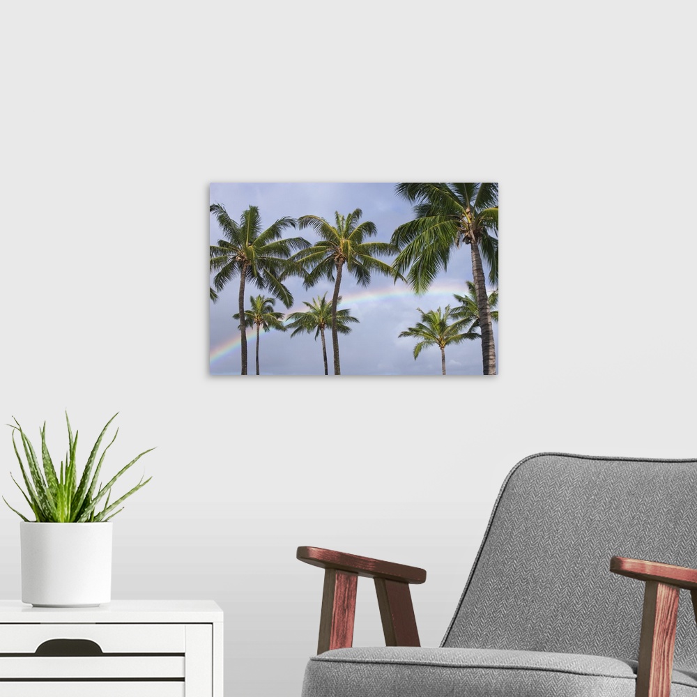 A modern room featuring Hi, Oahu, Rainbow And Coconut Palm Trees Over Pearl Harbor