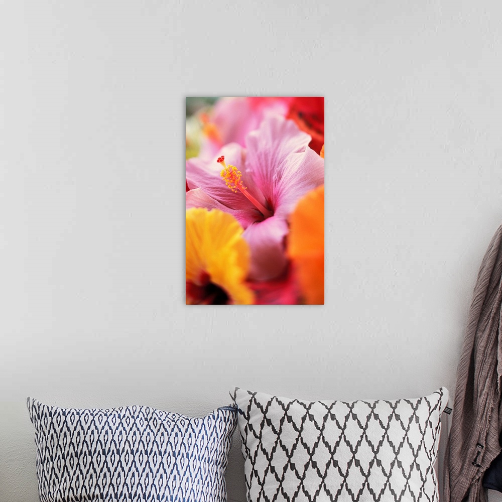 A bohemian room featuring Hibiscus Flower Arrangement With Soft Focus, Close-Up Detail