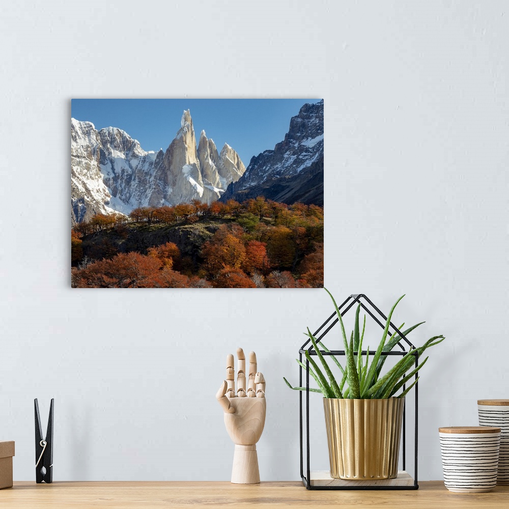 A bohemian room featuring Views along the day hike to Laguna Torre peak with fall color of southern beech, or Nothofagus tr...
