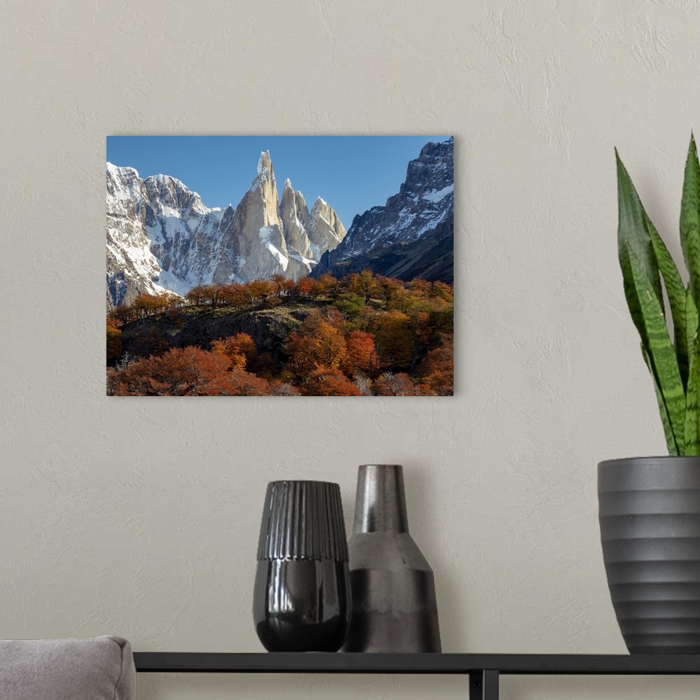 A modern room featuring Views along the day hike to Laguna Torre peak with fall color of southern beech, or Nothofagus tr...