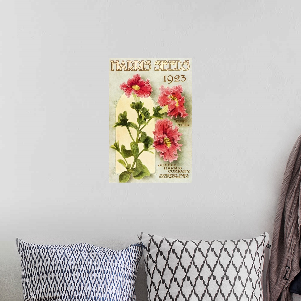 A bohemian room featuring Historic Harris Seeds catalog with Triumph Petunia flower from 20th century