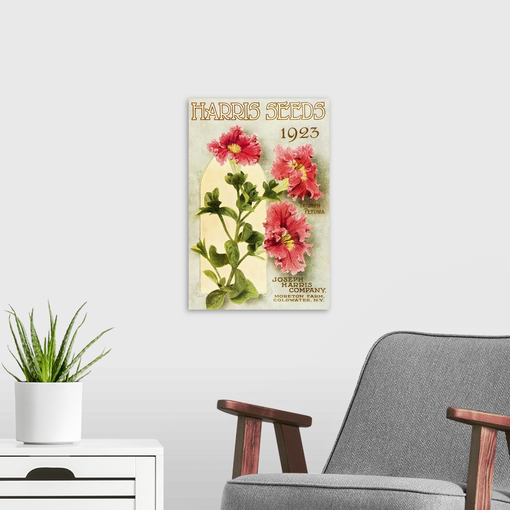 A modern room featuring Historic Harris Seeds catalog with Triumph Petunia flower from 20th century