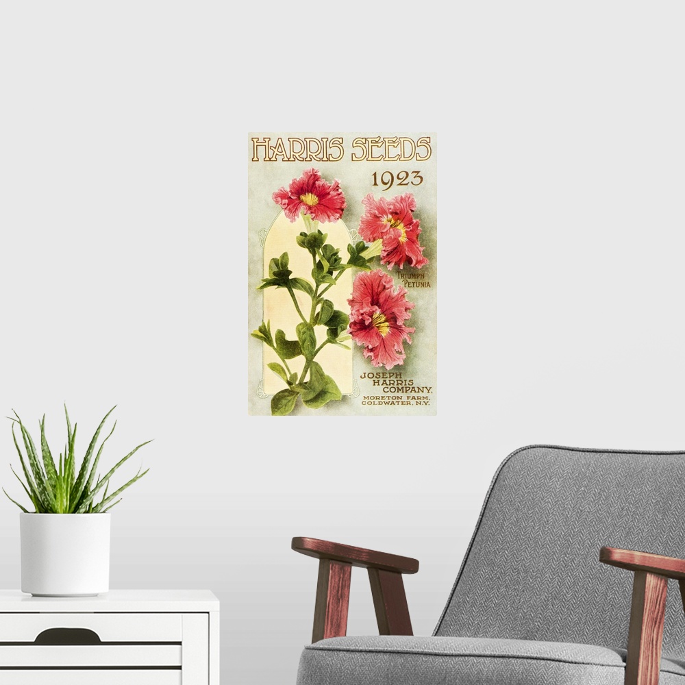 A modern room featuring Historic Harris Seeds catalog with Triumph Petunia flower from 20th century