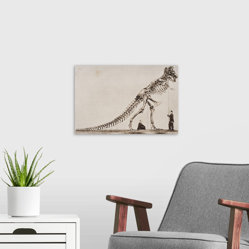 A modern room featuring Historical Illustration Of Dinosaur Skeleton.