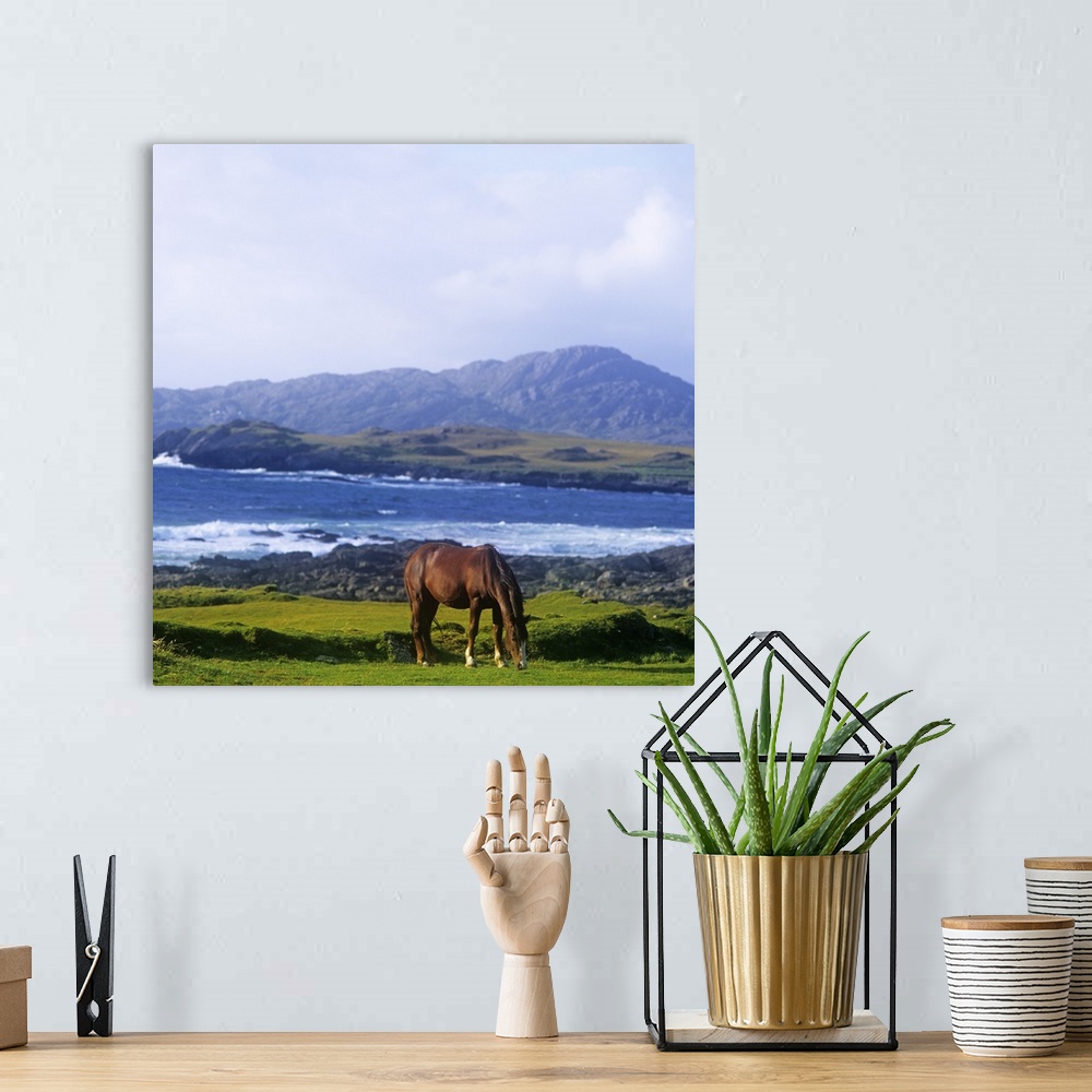 A bohemian room featuring Horse Grazing In A Field, Beara Peninsula, Allihies, County Cork, Republic Of Ireland