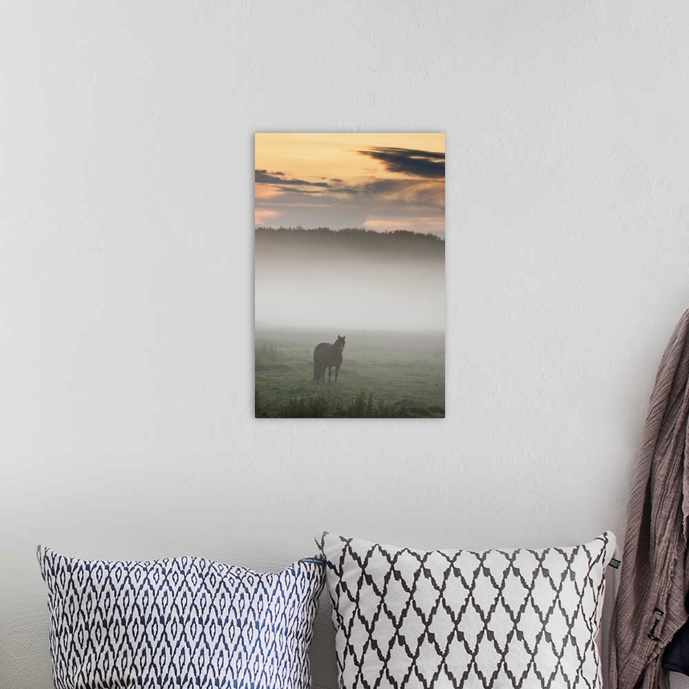 A bohemian room featuring Horse Standing In The Mist, Northumberland, England