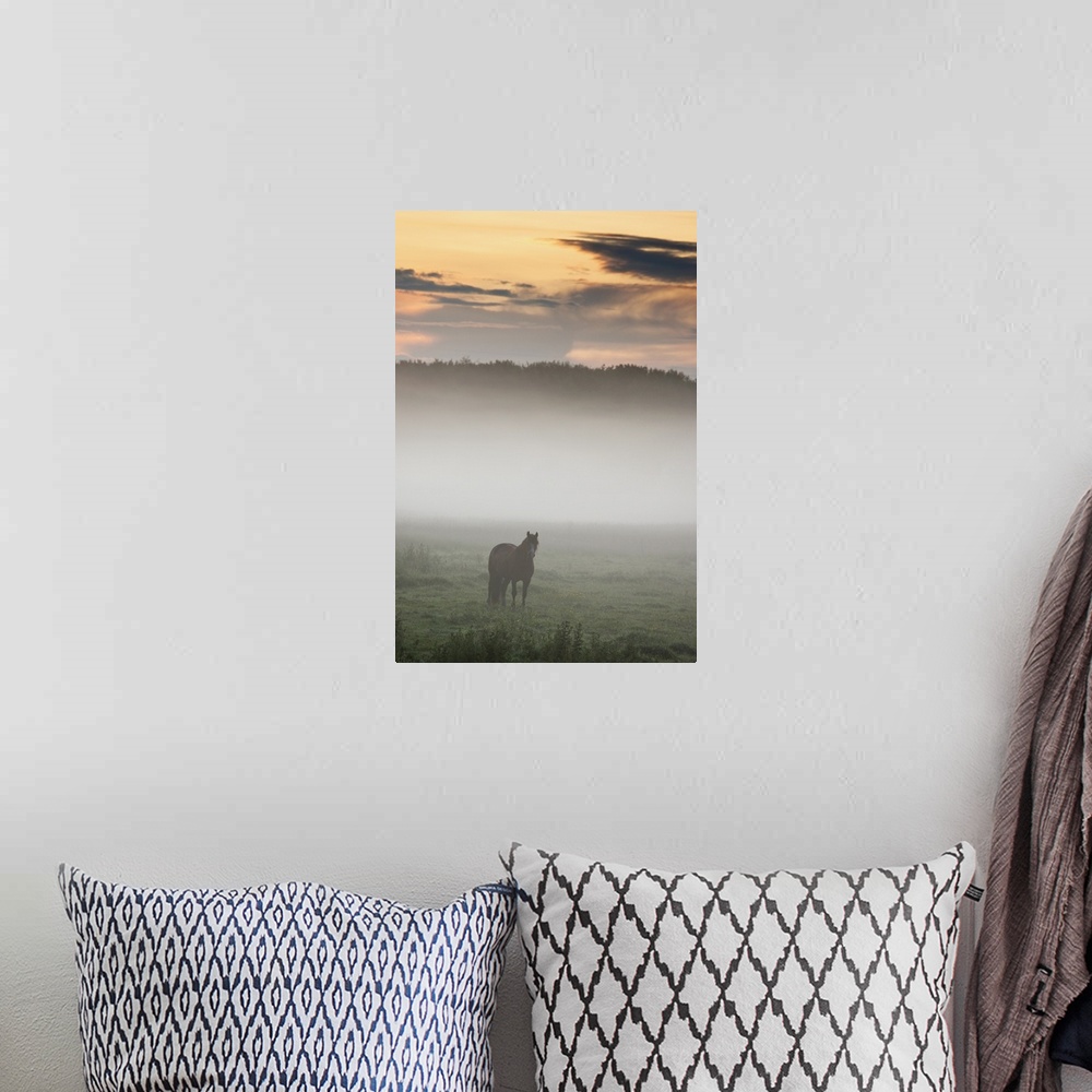 A bohemian room featuring Horse Standing In The Mist, Northumberland, England