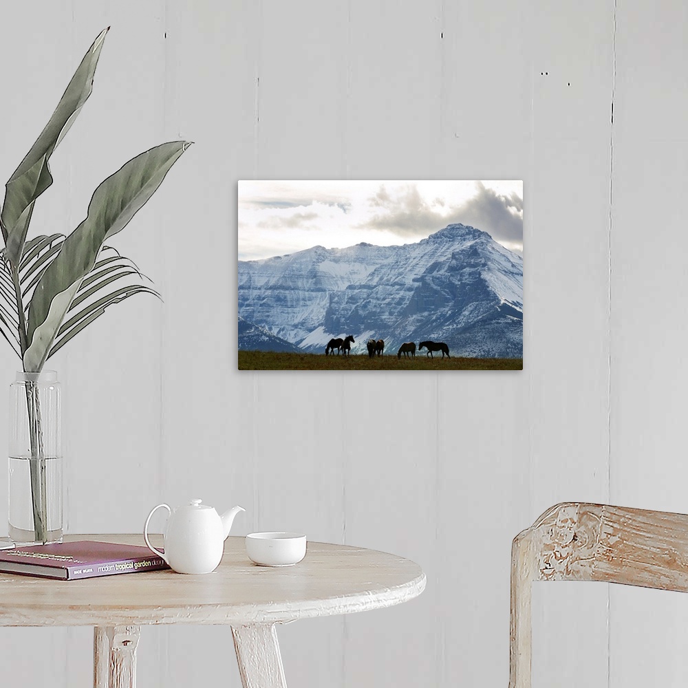 A farmhouse room featuring Horses And Mountains, Southern Alberta, Canada