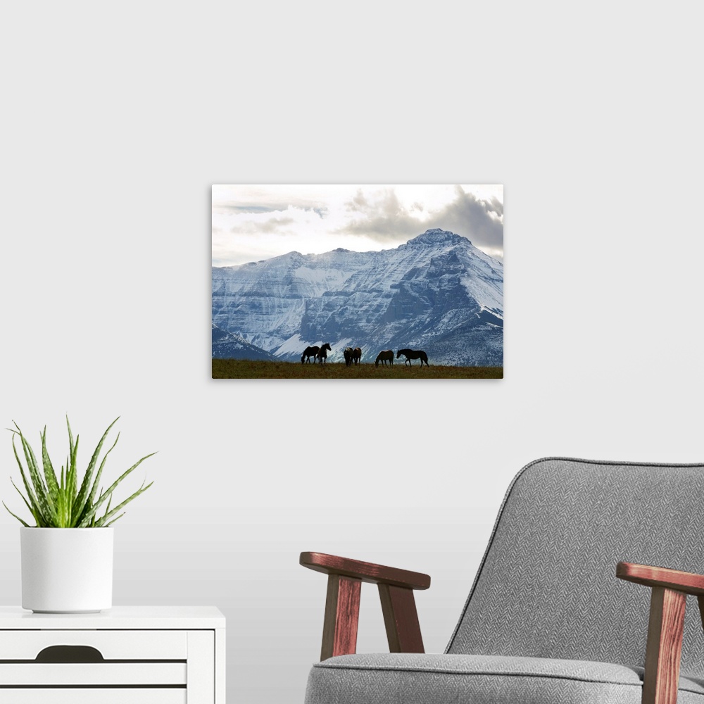 A modern room featuring Horses And Mountains, Southern Alberta, Canada