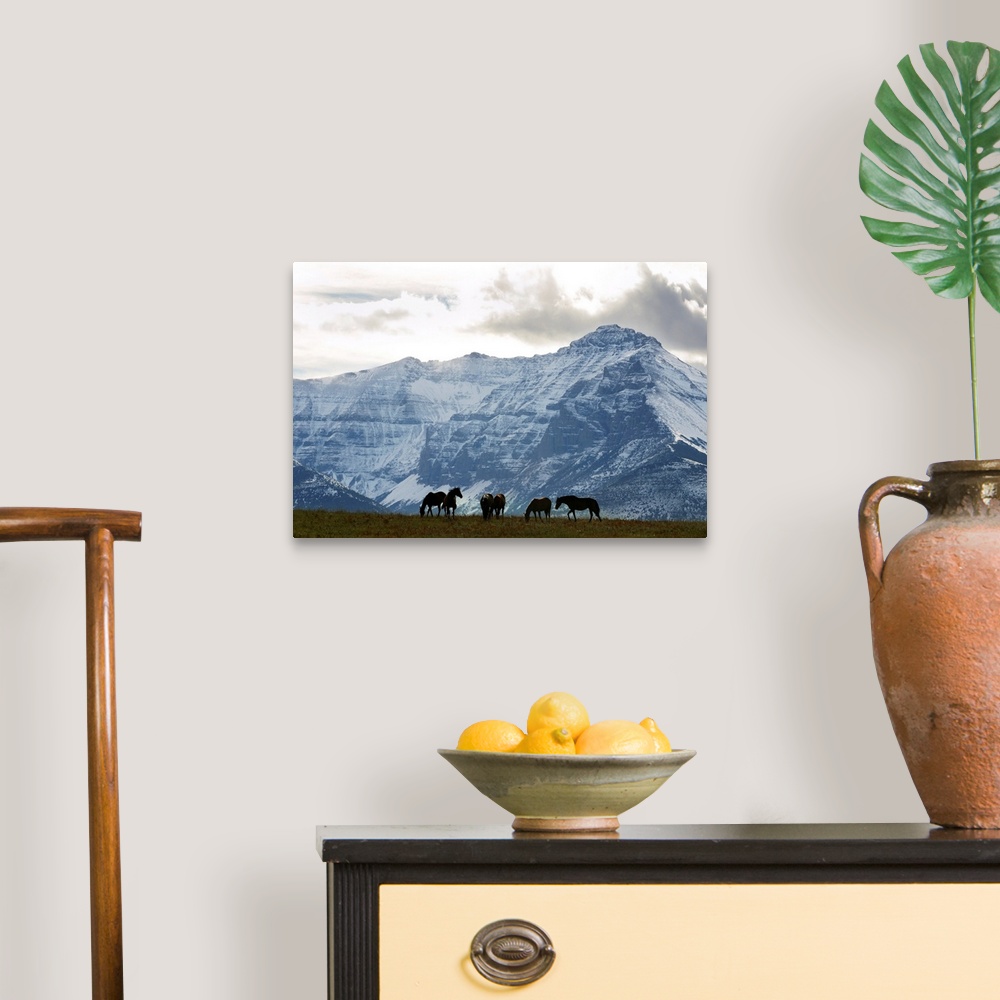 A traditional room featuring Horses And Mountains, Southern Alberta, Canada