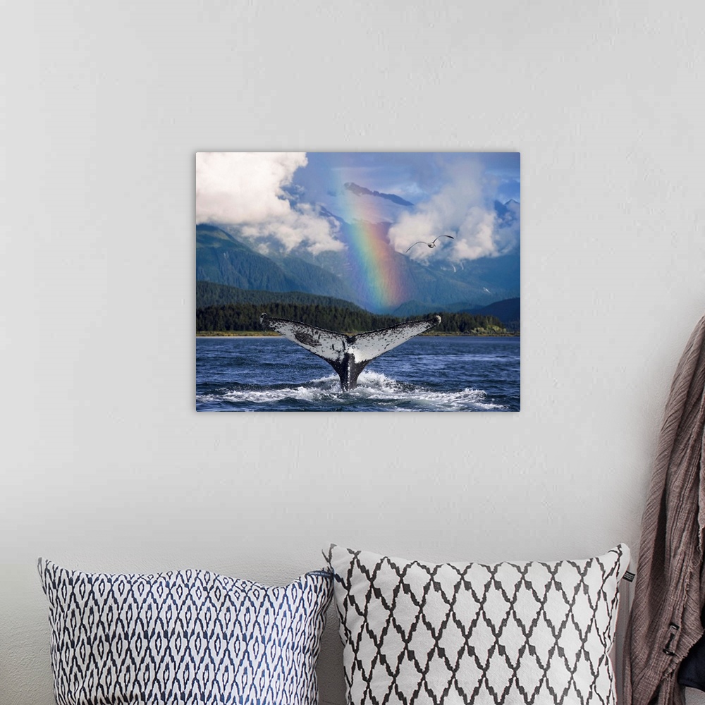 A bohemian room featuring Humpback Whale Submerging Showing Fluke W/Rainbow Inside Passage Alaska Southeast Summer Composite