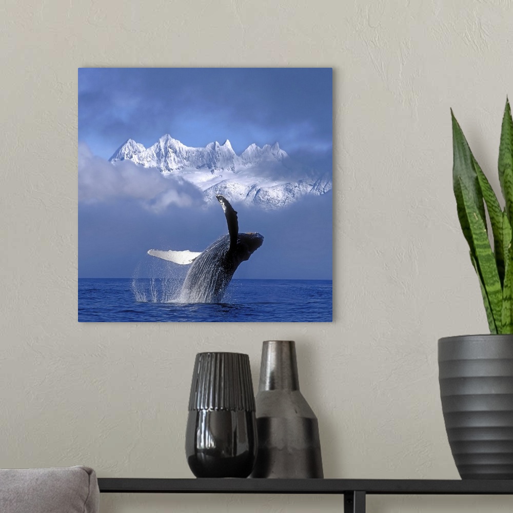 A modern room featuring A large whale breaches water with a thick layer of fog just behind it and only the top of the sno...